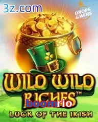 boomrio